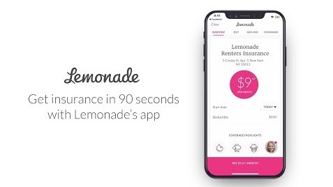 lemonade insurance 20240719